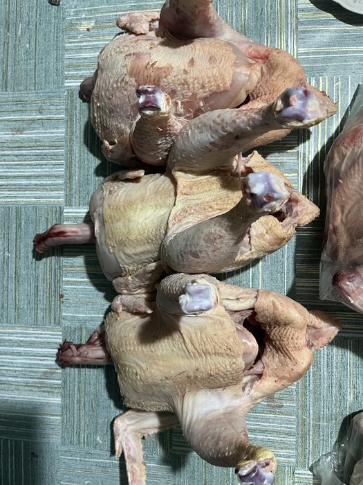Домашнее мясо бройлера