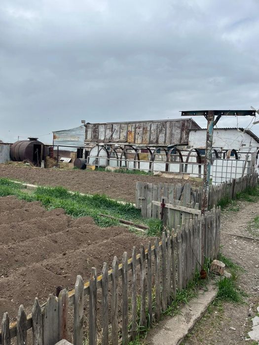 Продам частный дом можно под К/х