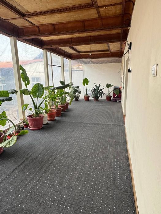 Hovli sotiladi xonobodda