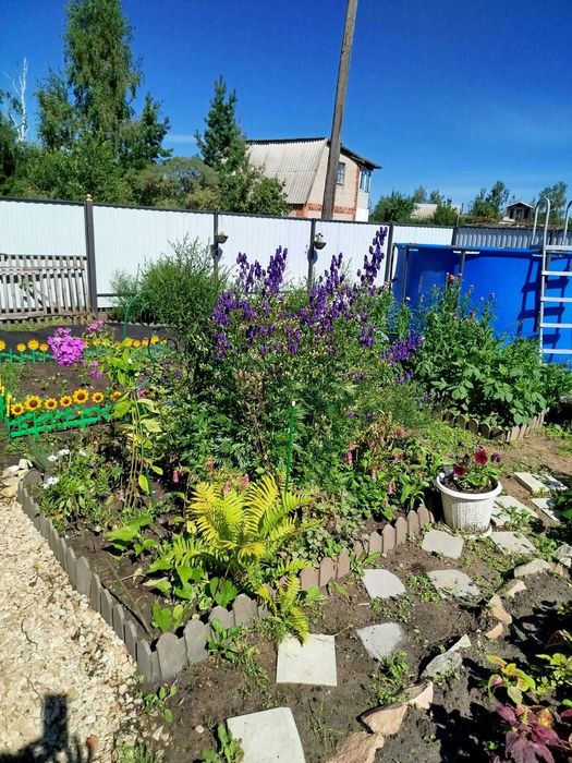 продам дачу с/о Борки