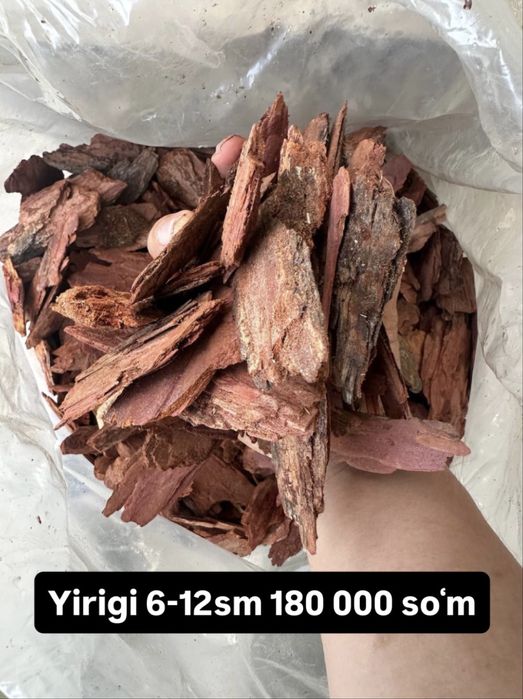 Sibir listvennitsa darahti po‘stlog‘i