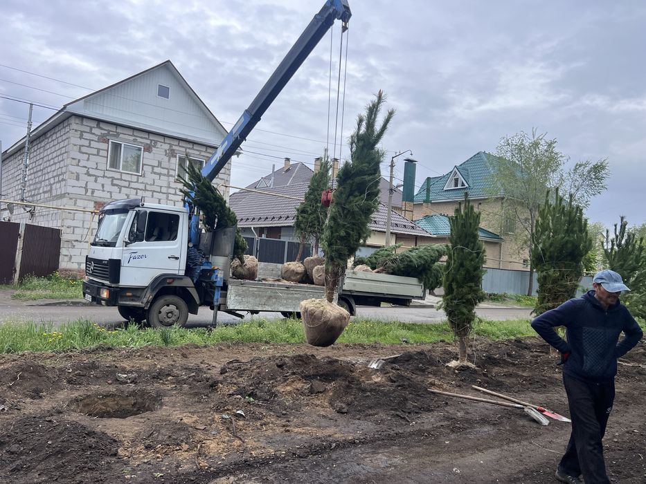 Не дорого 24/7 услуги манипулятора
