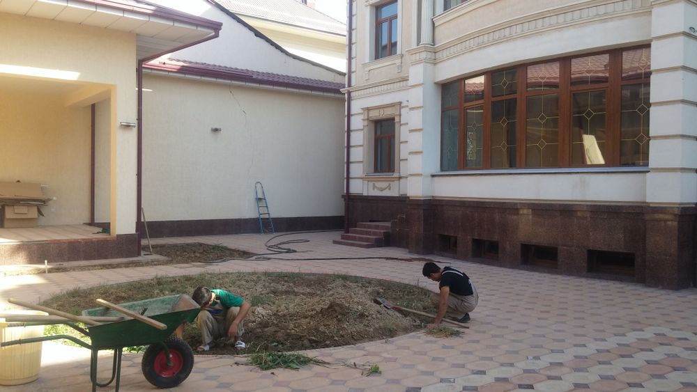 Gazon sifatli va tez