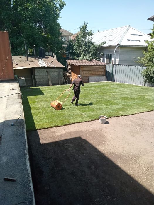 Газон рулонный и посевной