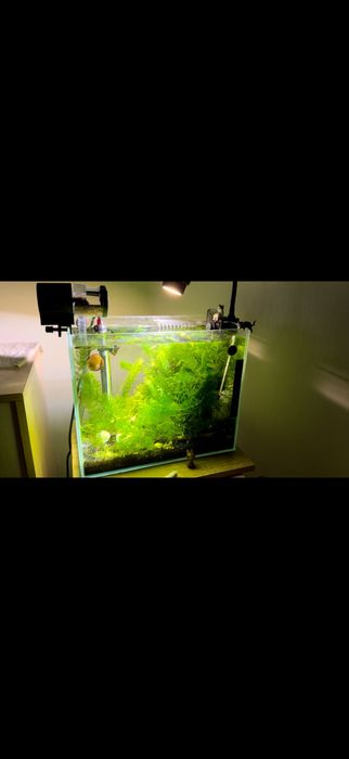 Открой мир аквариума