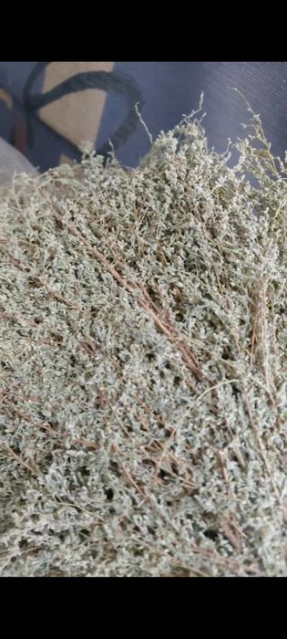 Жусан палынь + Доставка