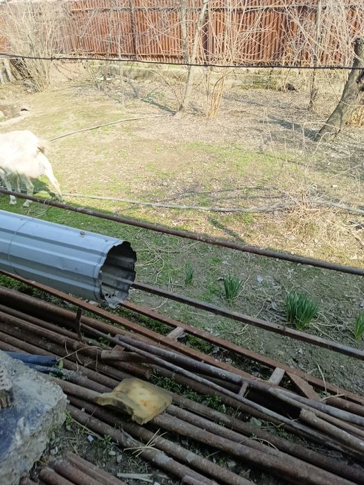 Парник сатылады 12/17