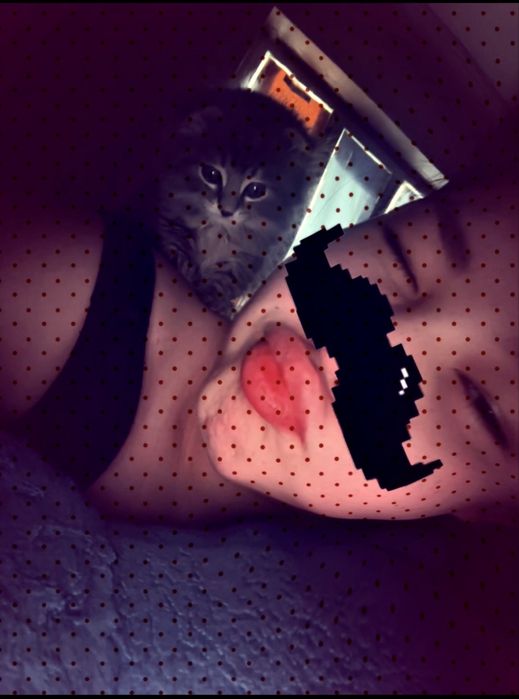 Мысық сатылады өте сүйкімді