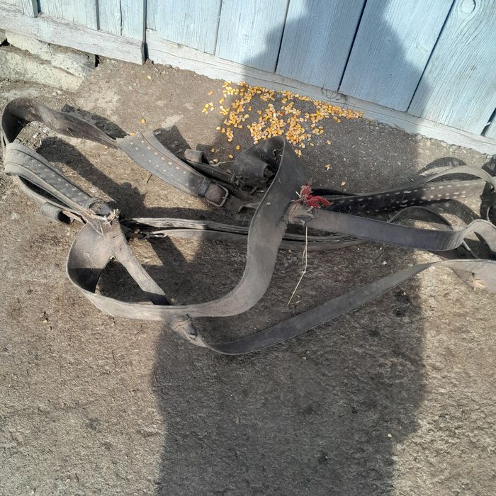 Hamuri de 2 cai de Reghin