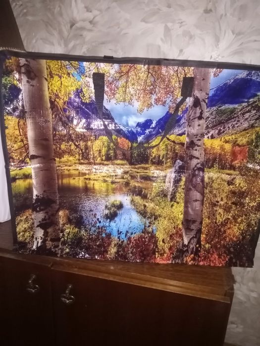 Большая вместительная сумка на молнии 63*50*31