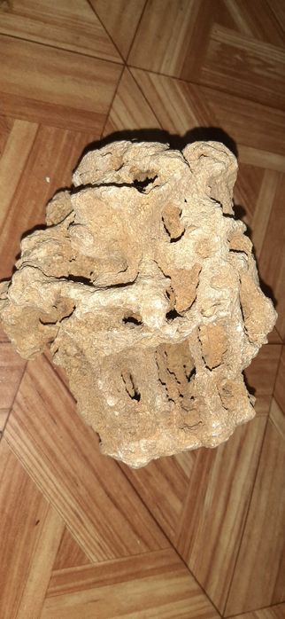 Уникальный исторический камень со дна моря