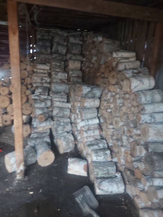 Продам дрова береза