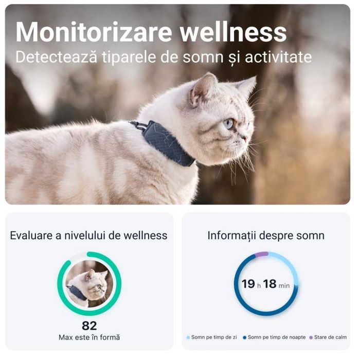 Dispozitiv monitorizare, GPS pentru pisici, Tractive GPS CAT 4