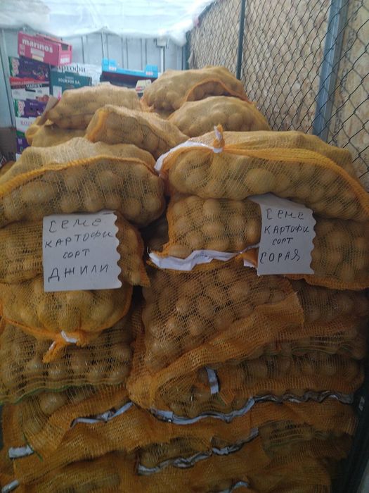 Продавам Семена  клас А