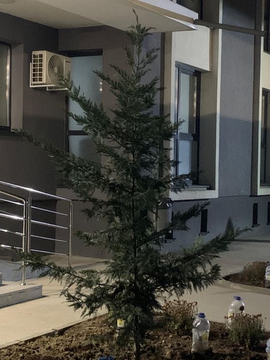 Garsonieră de închiriat+parcare Complex Rezidențial Lumina Park Găvana
