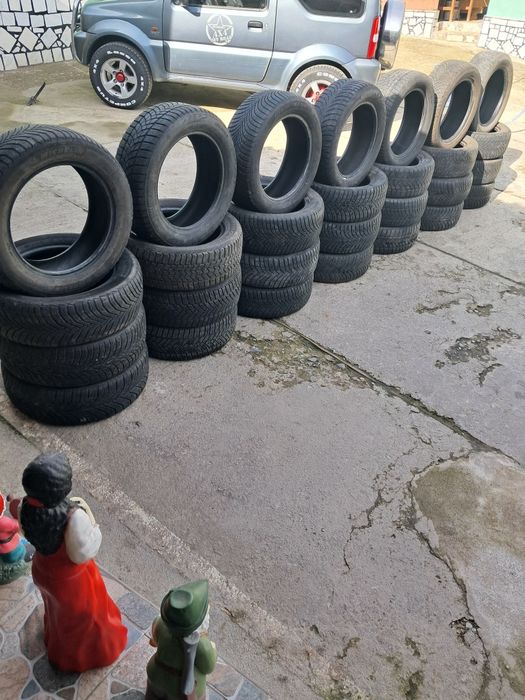 Vând porumbei ce se vede R16