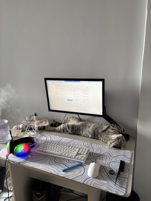 Отдам кота в добрые руки