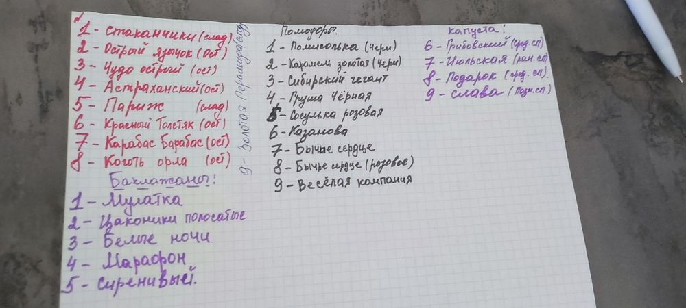 Рассада Темиртау