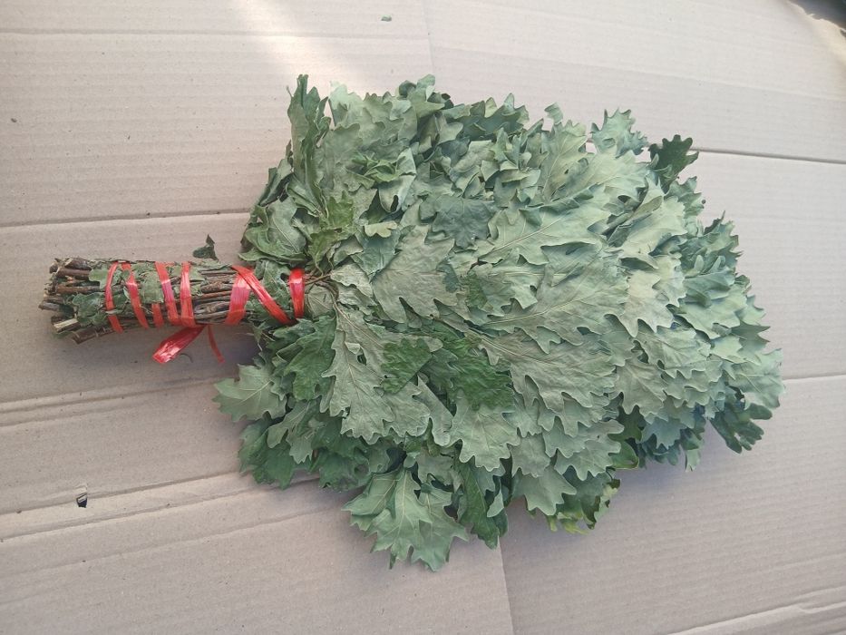 Дубовые веники для бани