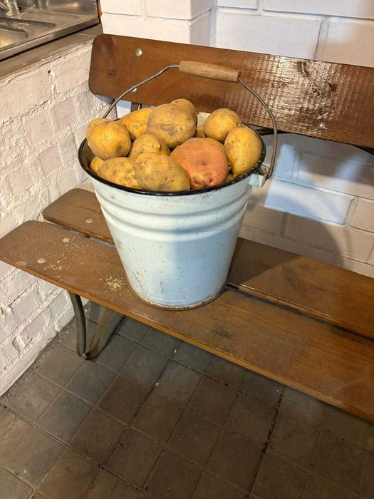 Продам картофель,ведро 12л