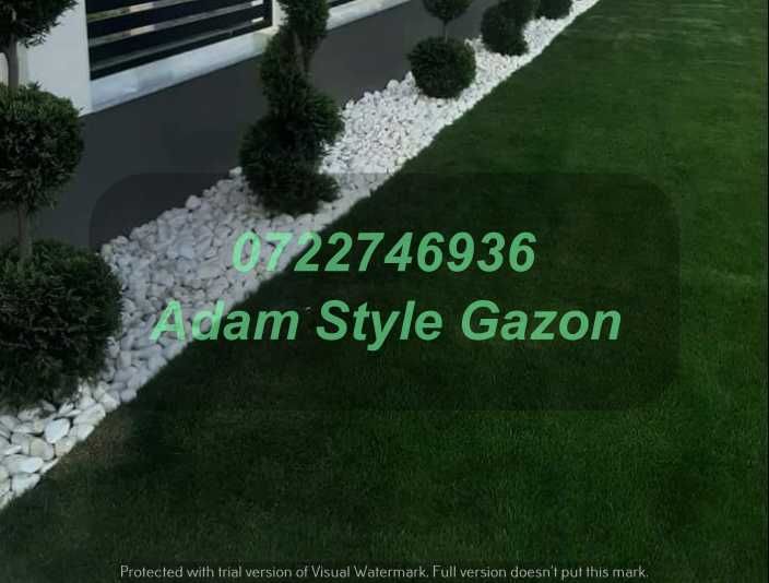 Gazon Verde Natural pentru Orice Proprietate