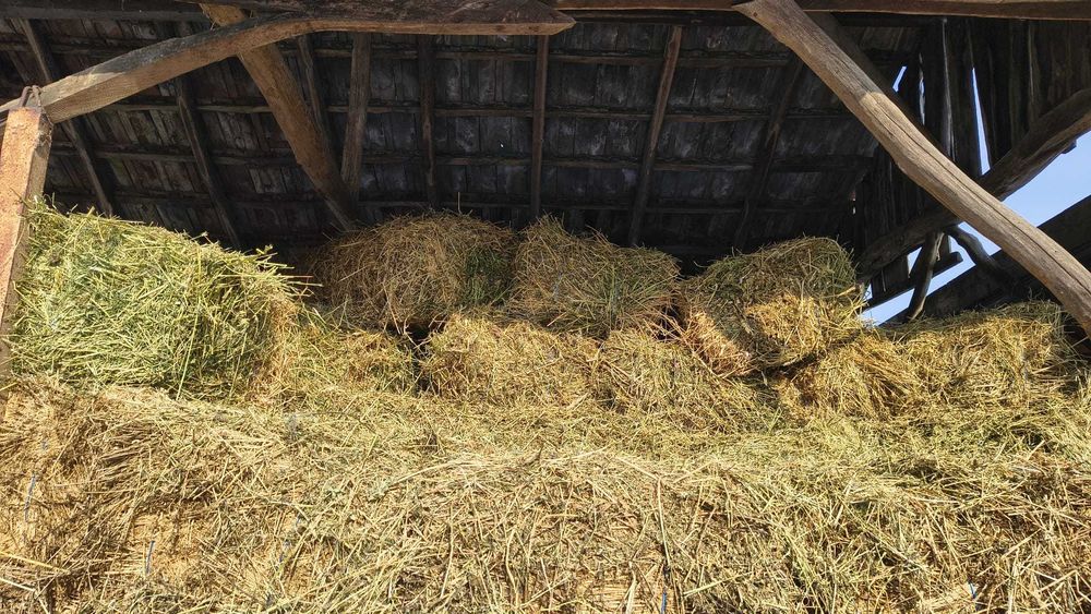 Baloți lucerna Dambovita