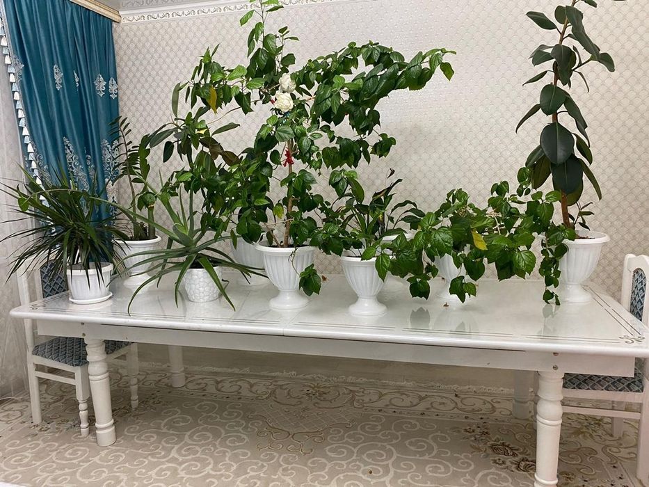 Продам стол для гостиной