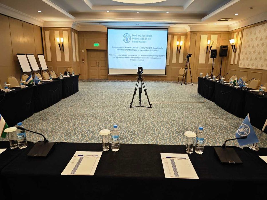 Организация онлайн трансляций. ZOOM вебинары. Прямой эфир.