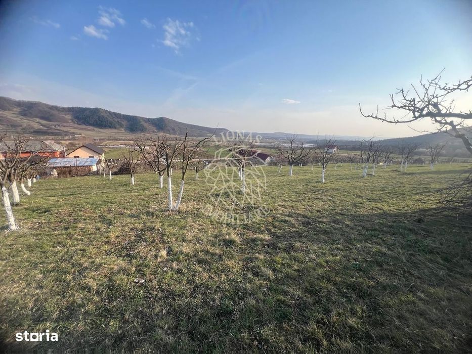 Teren 3100 mp-livada-ideal casa-Mititei