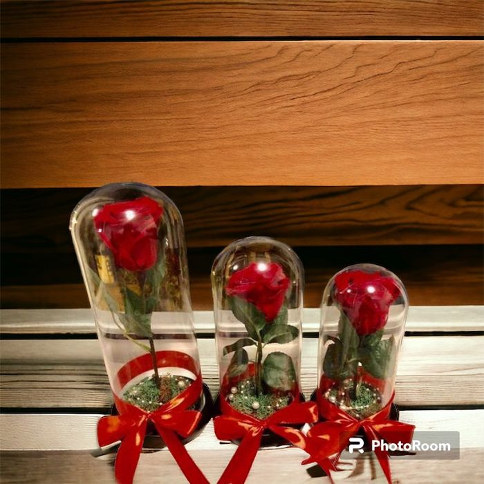 Trandafir criogenat rosu