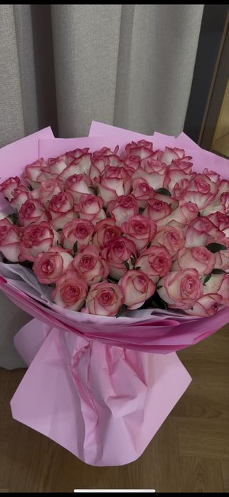 Роза 51 метровые