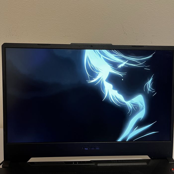 ASUS Tuf gaming A15 (FA506IHRB)