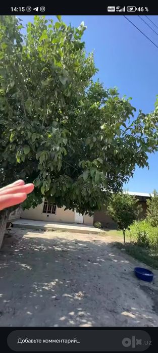 Xovli dacha sotiladi 5 cotik