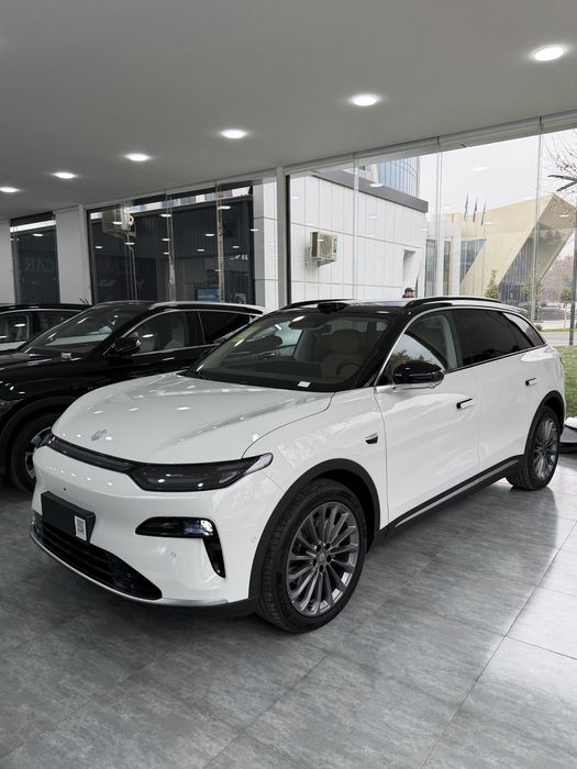 Leapmotor c11 hybrid