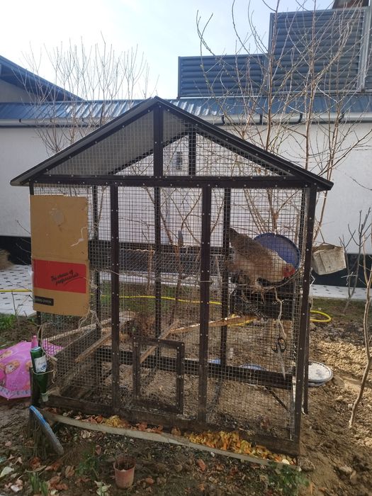 Товуқ катаки сотилади