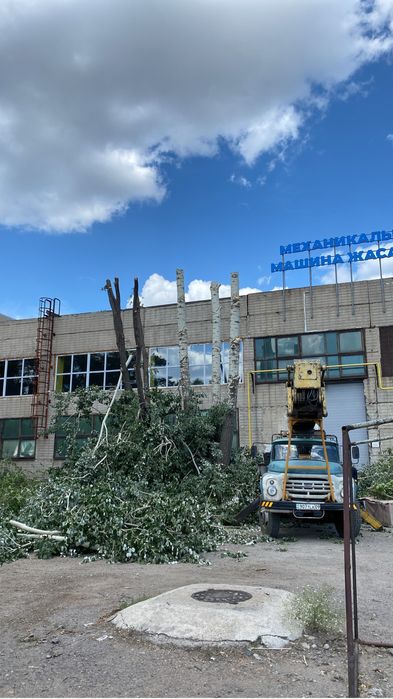 Спил деревьев. Подрезка веток