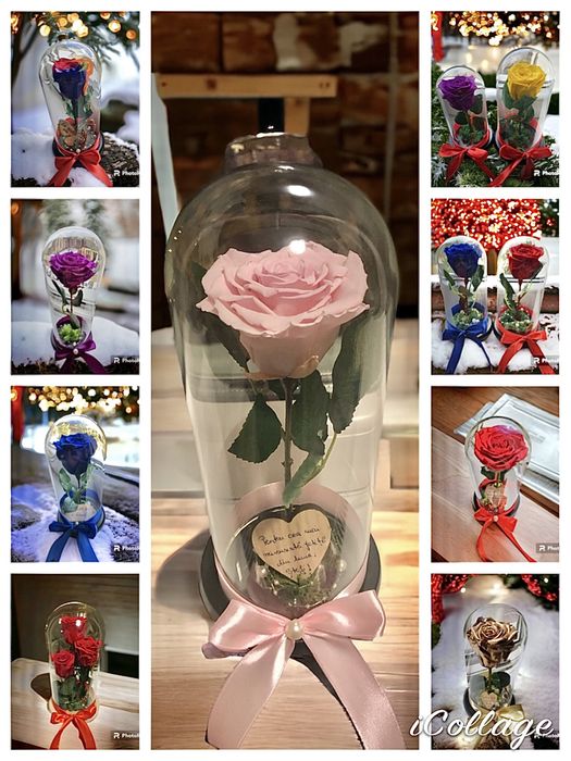 Trandafiri criogenati ursuleti in cutie cutii aranjament cadoul ideal