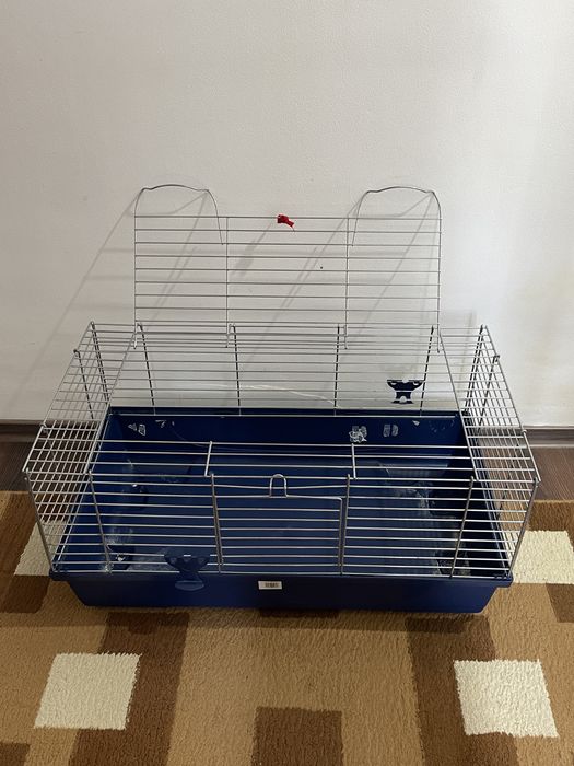 Vand 2 custi hamsteri/porcusori de guineea