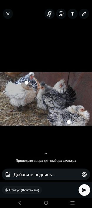 Обмен варианты или продам