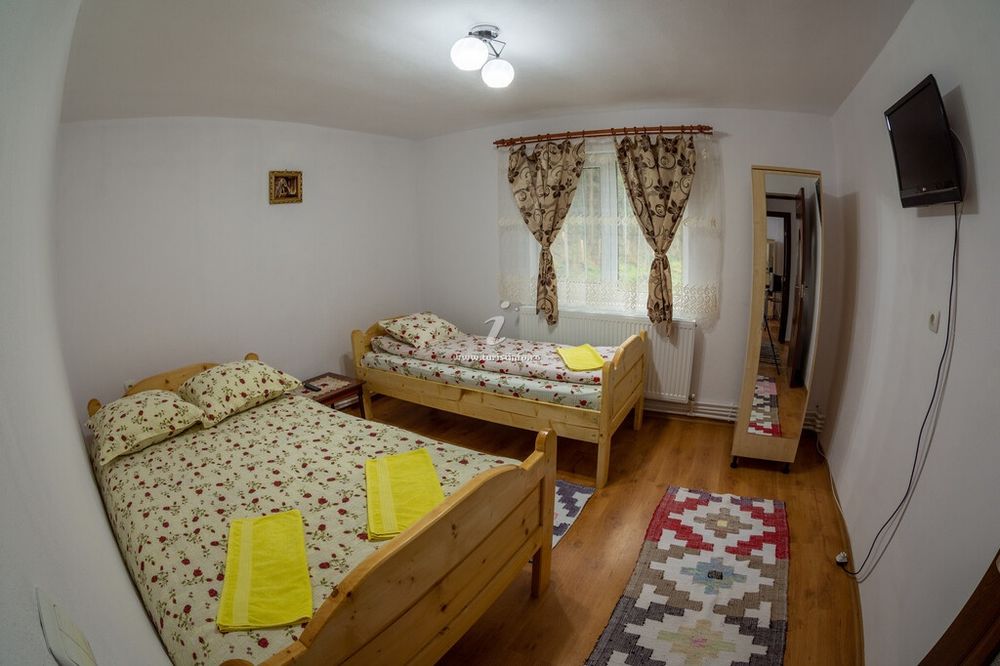 Cabana Armina și Andrei Arieseni