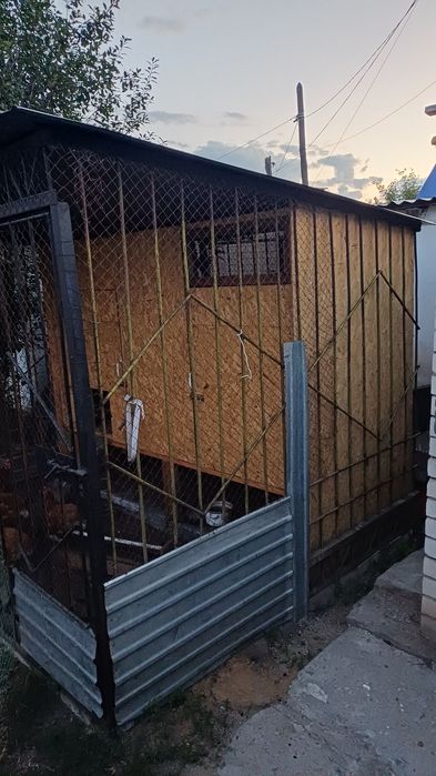 Продам курятник с курами