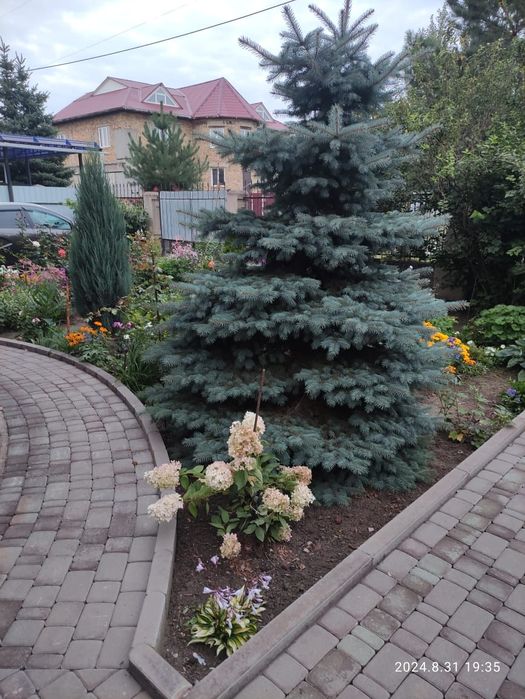 Продам коттедж 6мкрн