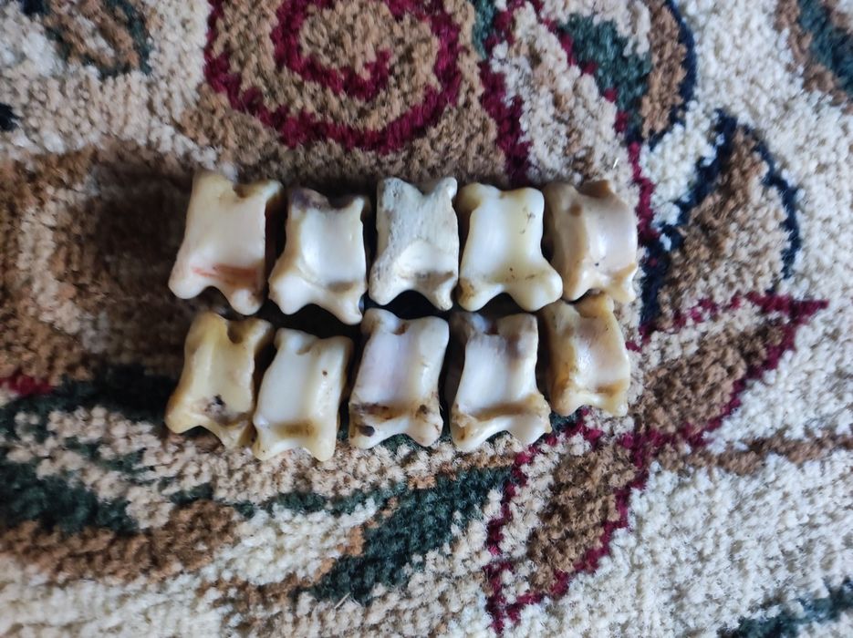 Асық асык асик asik