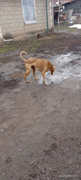 Тазы 10 ай ургашы