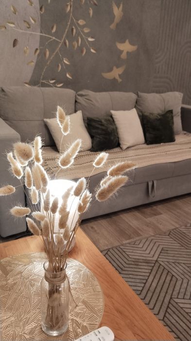 Час, день, ночь, сутки, район Корзины!