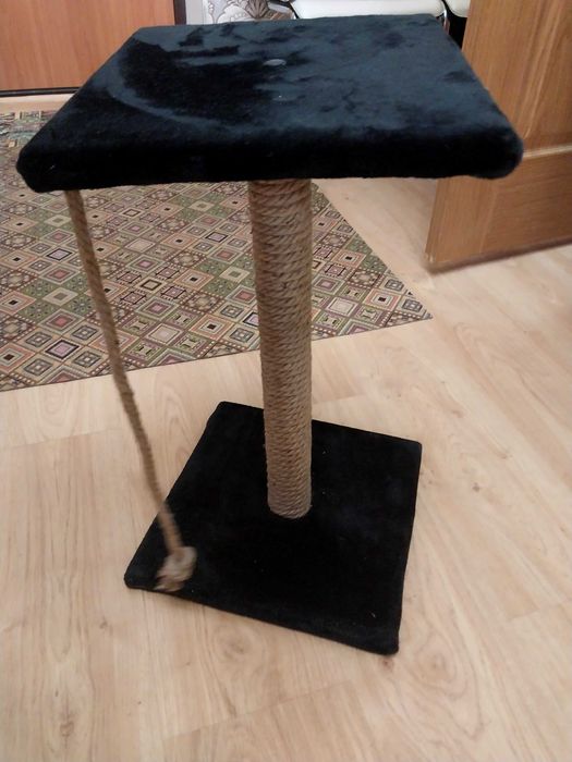 Когтеточка новая