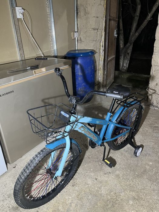 Велик барс новый