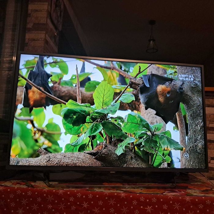 Televizor Philips Smart 4k Android, Ambilight,108 cm