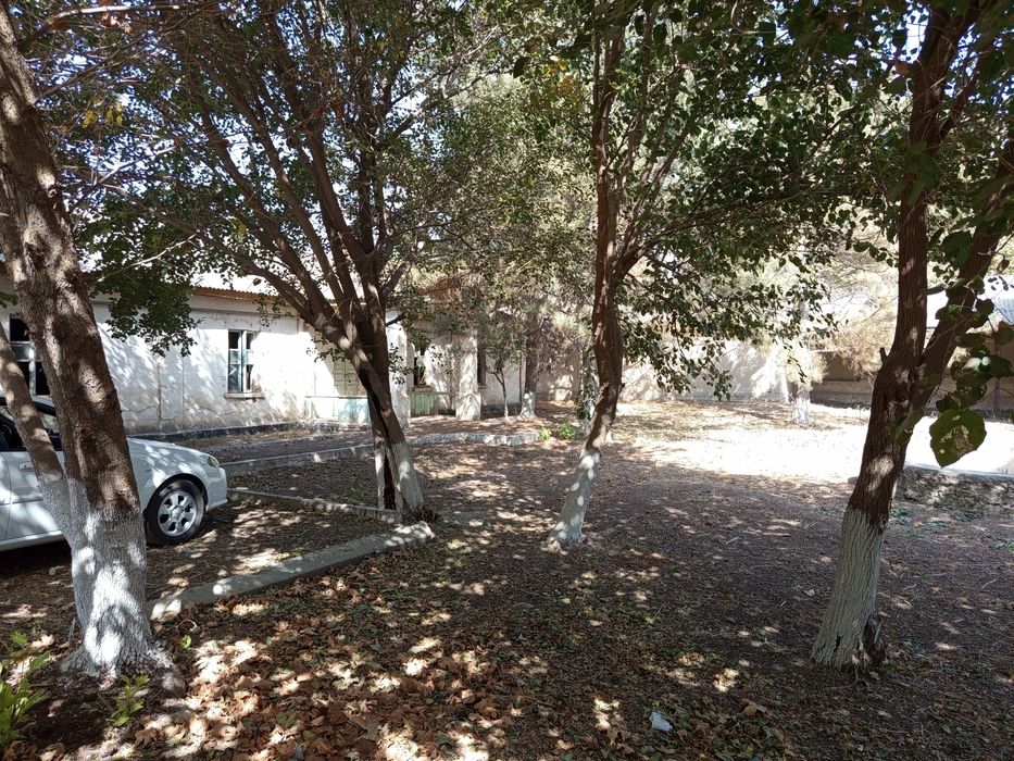 Дом , земельный участок