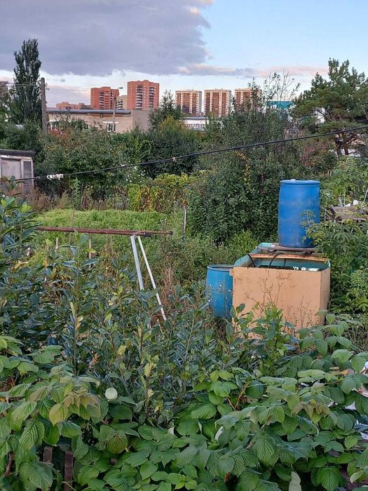 Продам дачу.Кировец 1 .ДСР.